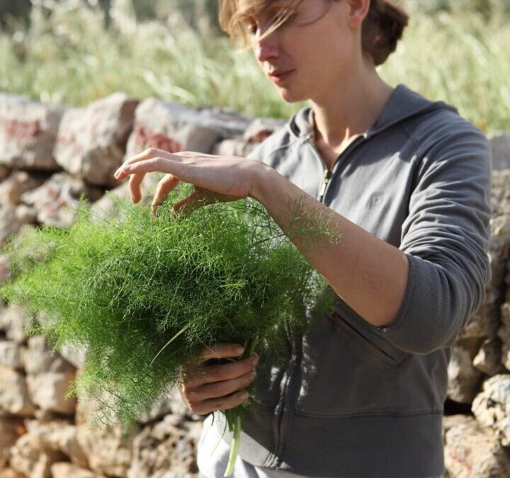 FoodEducators projektni dan