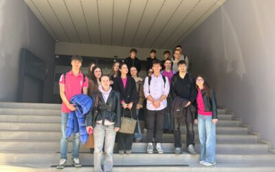 3.d na N1 televiziji