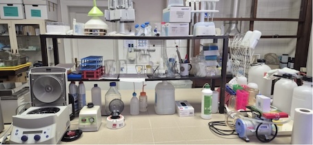 lab