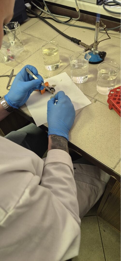 lab1