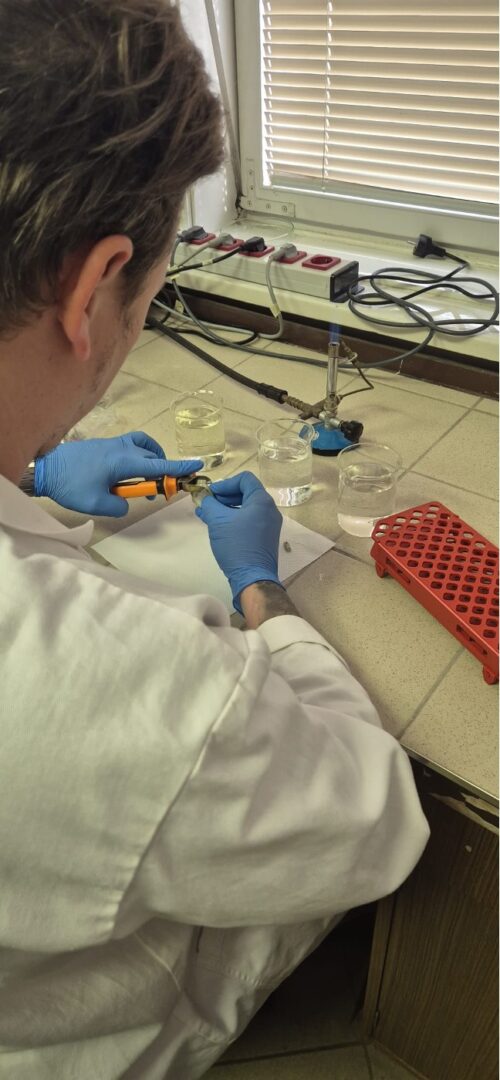 lab2