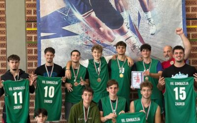 VIII. Memorijalni košarkaški turnir Dražena Petrovića